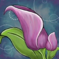 Some people believe that purple calla lilies represent charm and passion. Calla lily