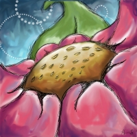 Pink flowers are bright and joyful to me. Pink daisy