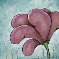 This pink flower’s plump and luscious petals open with the warmth of the sun. Pink flower