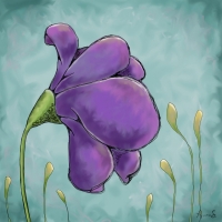 I love how these purple petals are so full and large, yet delicate too. Purple flower