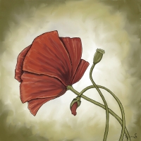 Poppy is a symbol of remembrance Poppy