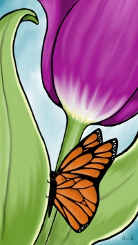Tulip and butterfly Tulip and butterfly