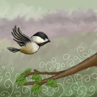 Chickadee flying Chickadee