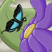 Flower and butterfly Flower and butterfly