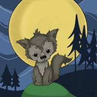 Baby wolf Baby wolf