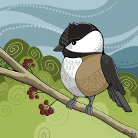 Chickadee