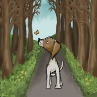 So fun to be curious and explore…and make new friends along the way! Dog in forest