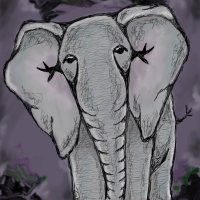 I always remember Elephant