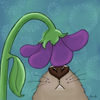 What’s that smell? Flower and groundhog nose