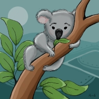 Koala