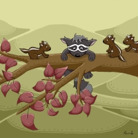 A little help please! Raccoon and chipmunks