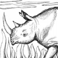 Rhino