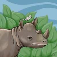 We make a great team! Rhino and bird