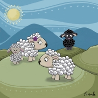 Come on over and introduce yourself! Sheep