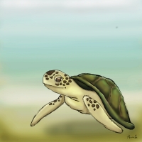 Swimming peaceful in the sea. Turtle